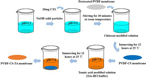 Preparation of composite PVDF membrane | Download Scientific Diagram