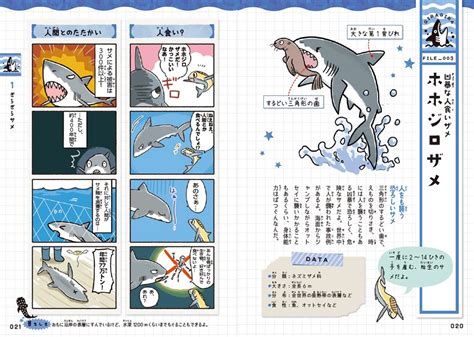 カッコいいそれともカワイイ サメの本当の姿をゆるゆる4コマとイラストで解説 『ゆるゆるサメ図鑑』 Bookウォッチ