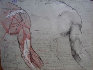 Plates From The Book Trait Complet De L Anatomie De L Homme Anatomy