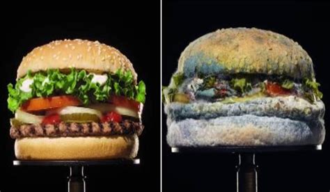 Watch Burger King Launch Preservative Free Whopper With Mouldy Video Extraie