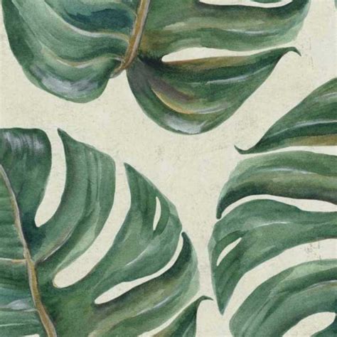 Tropical leaves wallpaper texture seamless 20936