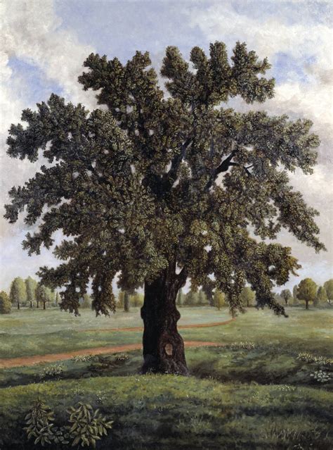 Oak Tree Painting at PaintingValley.com | Explore collection of Oak ...