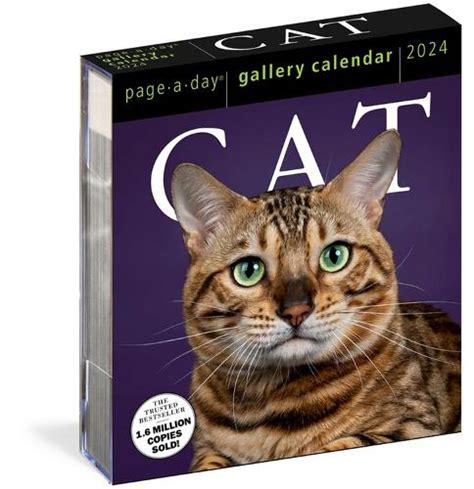 Cat Page A Day Gallery Calendar 2024 By Workman Calendars Waterstones