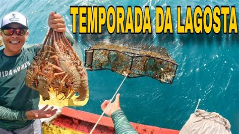 TEMPORADA DE PESCA DA LAGOSTA DIA A DIA DE UM PESCADOR ARTESANAL