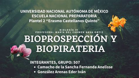 Bioprospecci N Y Biopirateria