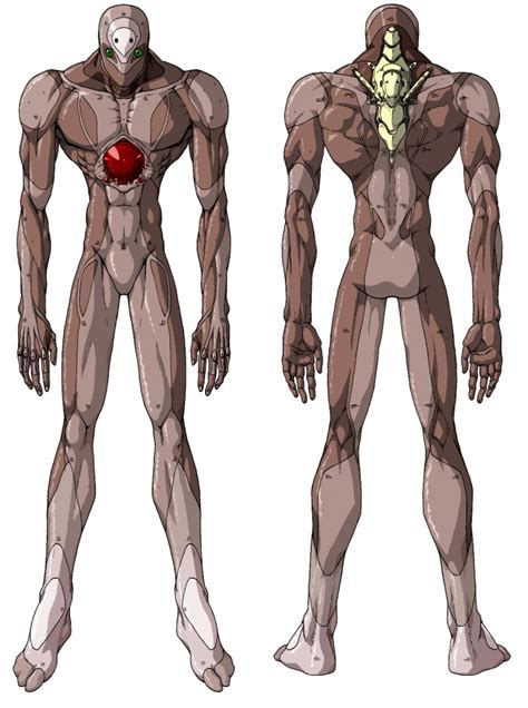 In Progress Â PG Evangelion Unit 01 Â Internals FichtenFoo