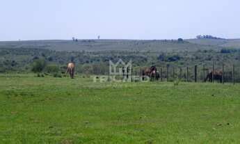 FAZENDA RURAL em Quaraí RS Municipio de Quaraí MGF Imóveis