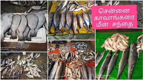 Chennai Kavangarai Fish Market Kavangarai Fish Price Youtube