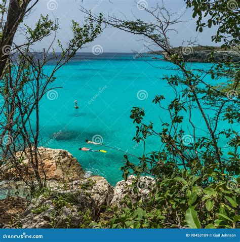 Viste Della Spiaggia Di Knip E Del Curacao Degli Alberi Immagine Stock