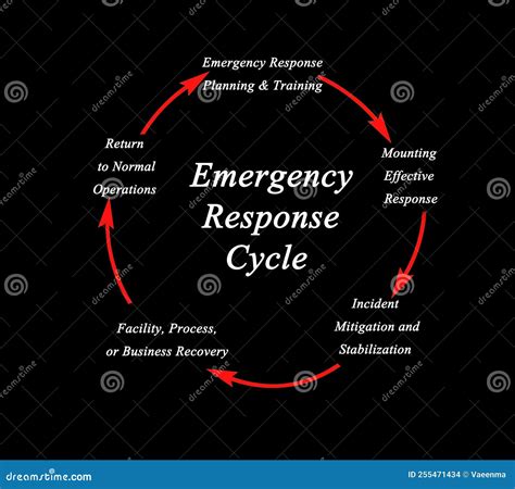 Ciclo De Respuesta De Emergencia Stock De Ilustraci N Ilustraci N De