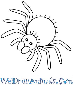 Tarantula Drawing Easy - Another free animals for beginners step by ...