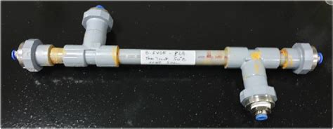 cell    experiment  scientific diagram
