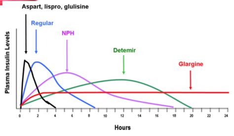 Insulin Flashcards Quizlet