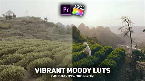 Free Crazzyy Vibrant Moody Luts For Premiere Pro Final Cut Pro Da