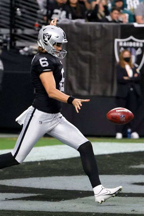 12 Best Nfl Punters In The World Right Now Players Bio