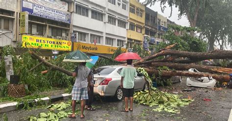 Pokok Tumbang Hempap Kenderaan Enam Cedera Berita Harian