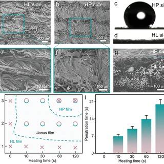 Surface Morphology And Wetting Property Of The Janus Fabric A And E