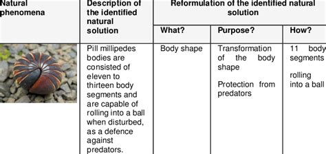 Reformulation Of The Identified Natural Solution Download Table