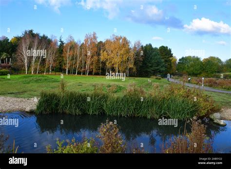 WWT London Wetland Centre Queen Elizabeth S Walk London SW13 UK