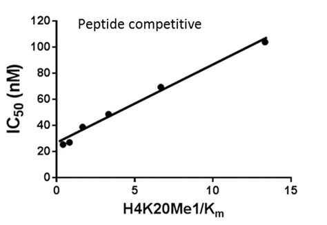 structural genomics consortium