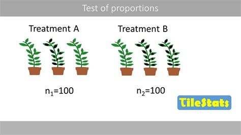 The Two Proportion Z Test And The Chi Square Test Of Homogeneity YouTube