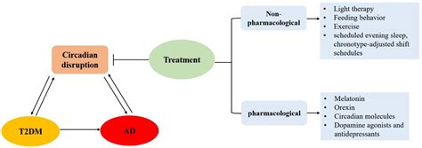 Ijms Free Full Text A Growing Link Between Circadian Rhythms Type