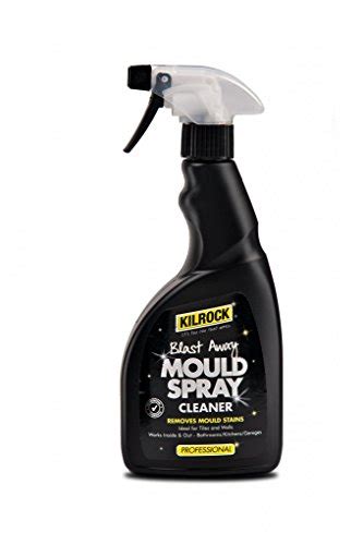 What Is The Best Black Mould Remover On The Uk Market