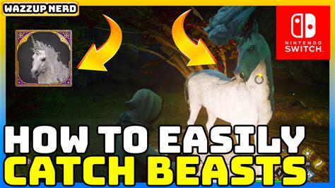 Hogwarts Legacy How To Catch Beasts Walkthrough Super Easy Guide