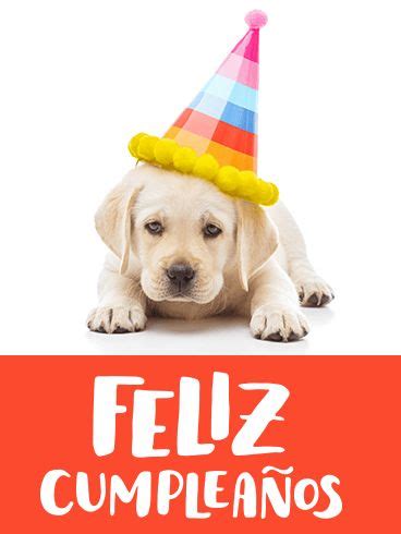 feliz cumpleaños lindo perro imagenes imagenes bonitas