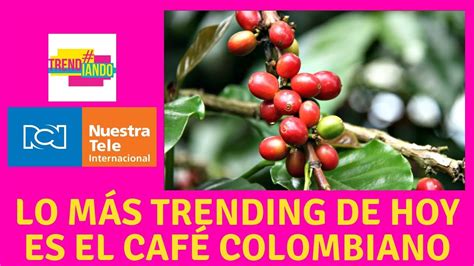 Crece La Producción Y Exportación De Café En Colombia Youtube