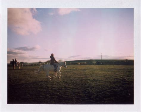 Understanding Canter: Exploring Types, Mechanics, and Joy of Horse ...