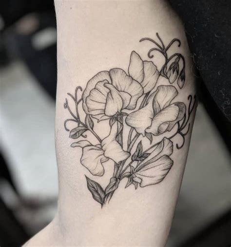 Sweet Pea Flower Tattoo Ideas And Their Meaning