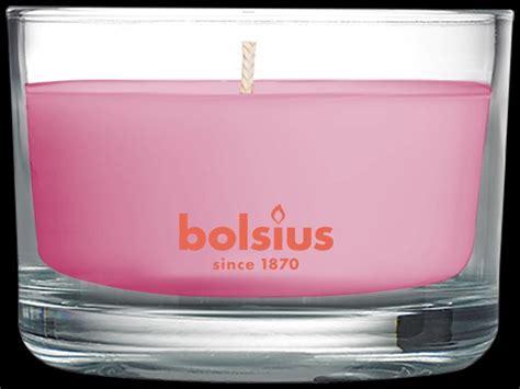 Bolsius Geurkaars True Scents Magnolia Kopen Cookinglife