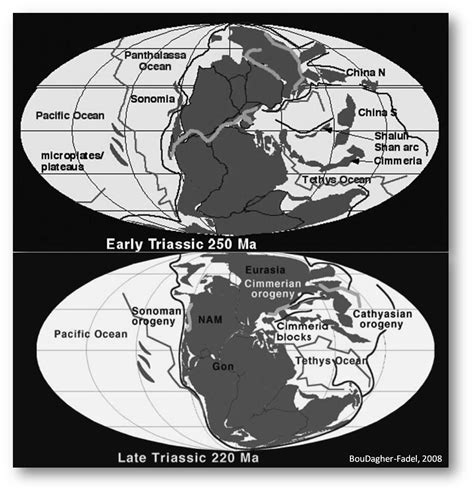 Triassic Period Map