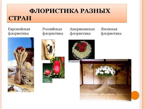 Флористика - презентация онлайн