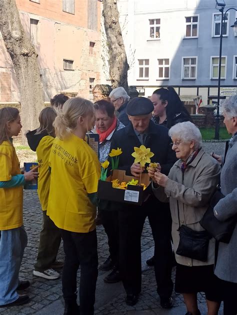 Dobro zakwitło Pola Nadziei na Pomorzu