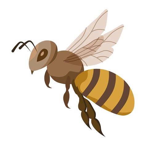 Premium Vector Bee Insect Icon Illustration Vector