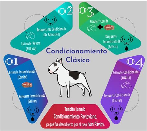 20 Ejemplos de Condicionamiento Clásico y Operante