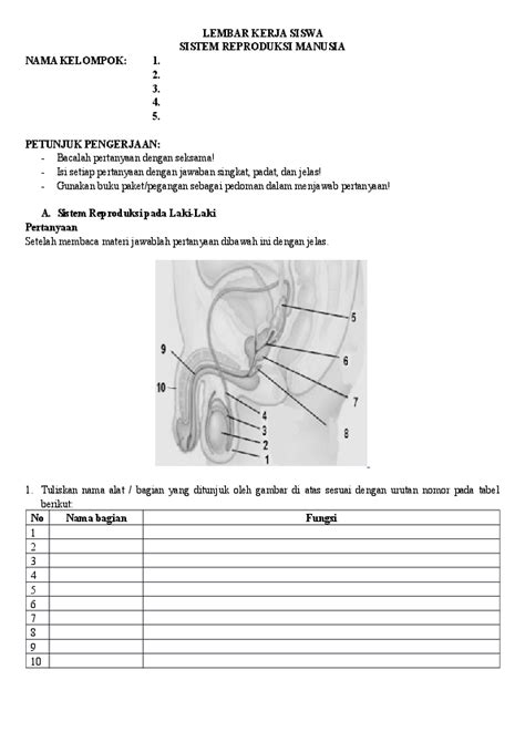 Soal Dan Jawab Ipa Kelas 9 Sistem Reproduksi Manusia