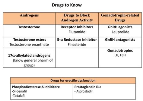 Pharmacology Of Male Reproductive System Flashcards Quizlet