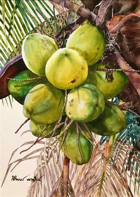 Coconut Tree Watercolor Art Watercolor Landscape Paintings Fruit