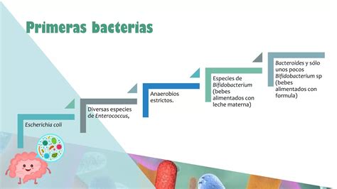 Sistema Inmune Y Microbiota Pdf