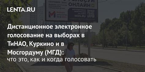 Дистанционное электронное голосование (ДЭГ) на выборах в Московскую ...