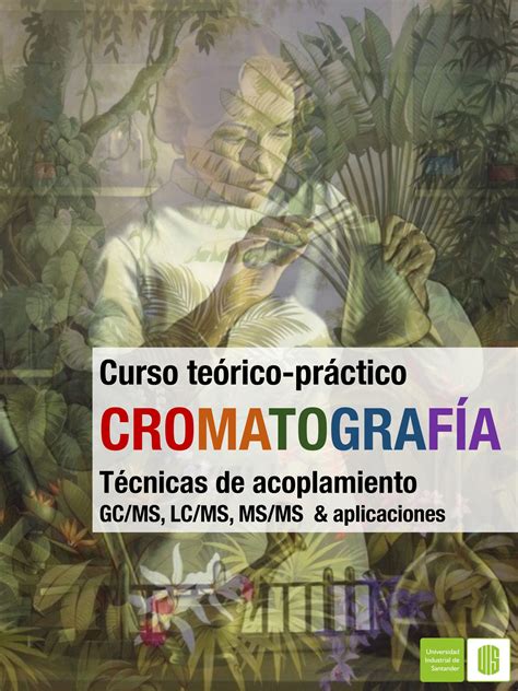 Curso teórico práctico de Cromatografía técnicas de acoplamiento GC MS