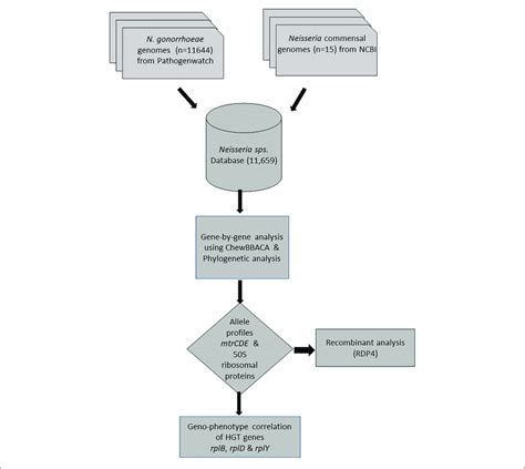 Flowchart Describing Study Design And Analysis Download Scientific