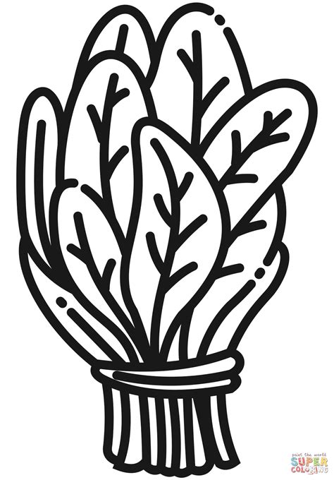 Spinach Clip Art Black And White