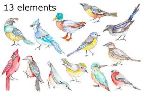 Birds Watercolor Clipart By Goodfairyclipart Thehungryjpeg