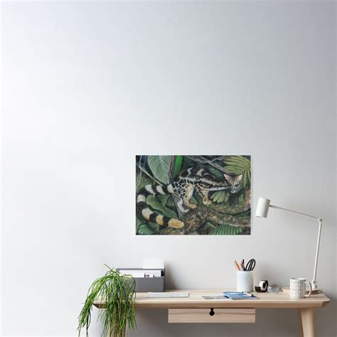 Banded Linsang Poster By Kittykat23uk Redbubble