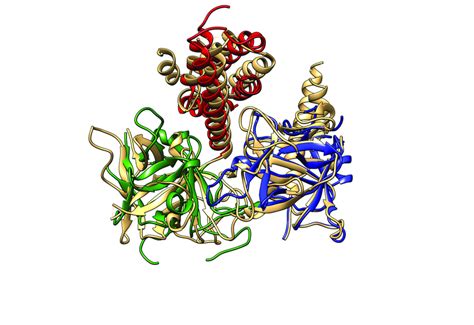 6 The N Terminus Of The Ip3 Receptor Superimposed On Domains Abc