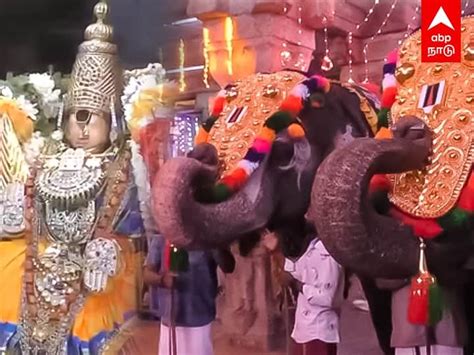 Trichy Srirangam Elephant Playing Mouth Organ Watch Video Srirangam